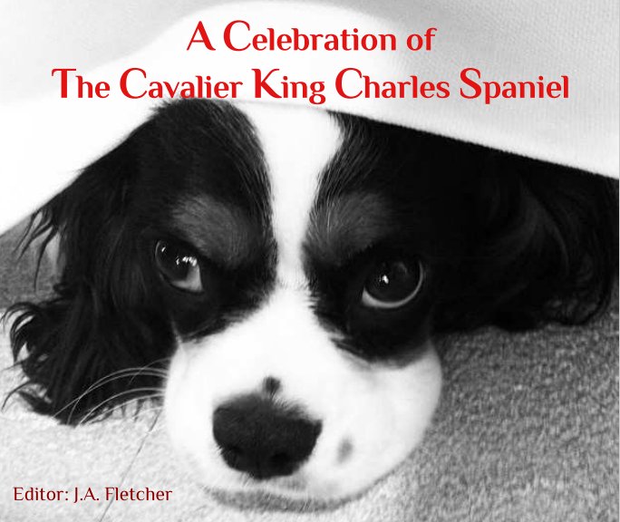 View A Celebration of the Cavalier King Charles Spaniel by Julia A Fletcher