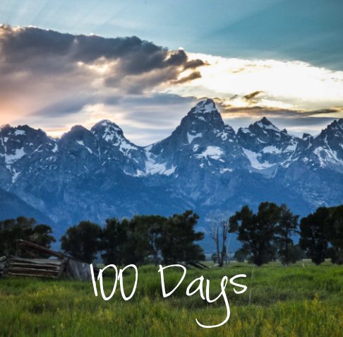 View 100 Days by Mary Hone