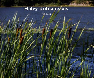 Haley Kulikauskas book cover
