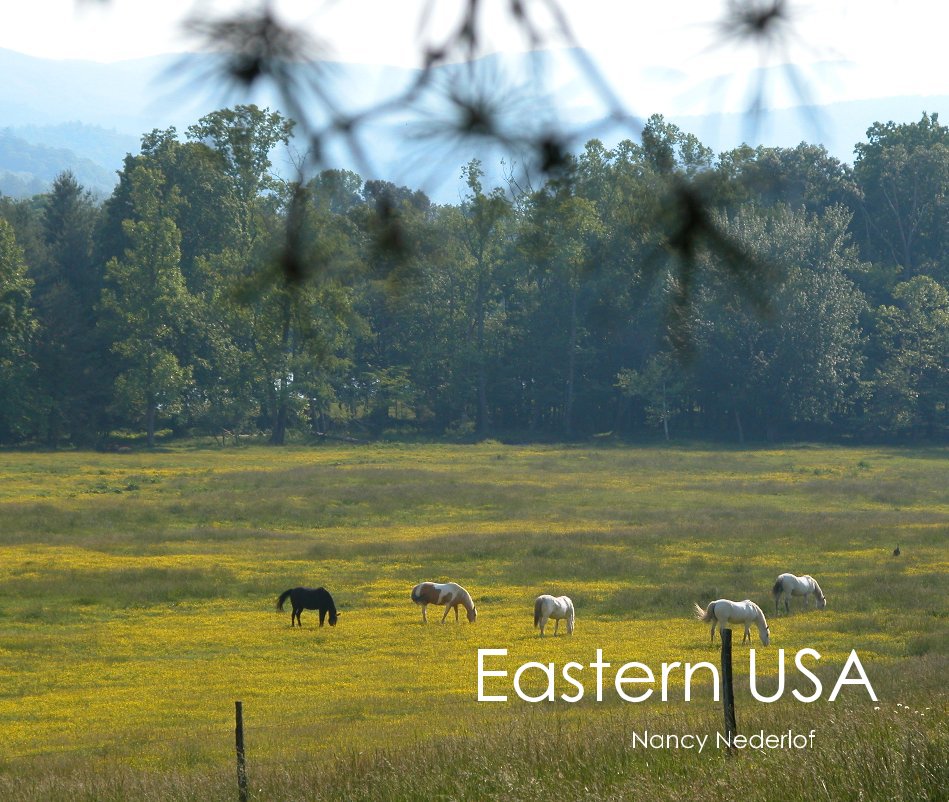 View Eastern USA by Nancy Nederlof
