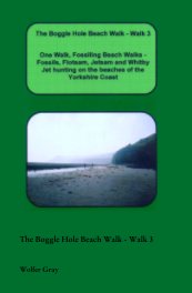 The Boggle Hole Beach Walk - Walk 3 book cover
