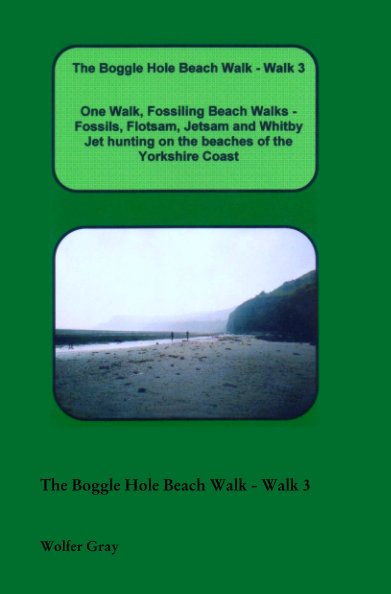 Visualizza The Boggle Hole Beach Walk - Walk 3 di Wolfer Gray