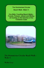 The Hummersea Circular Beach Walk - Walk 11 book cover
