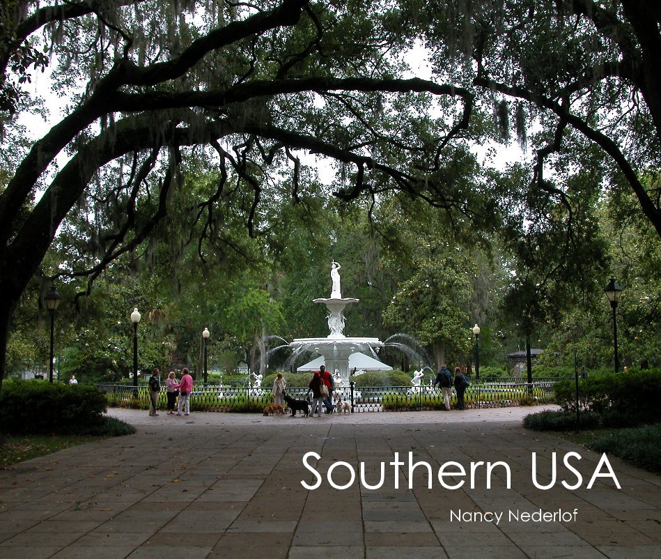 View Southern USA by Nancy Nederlof