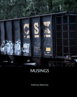 MUSINGS book cover