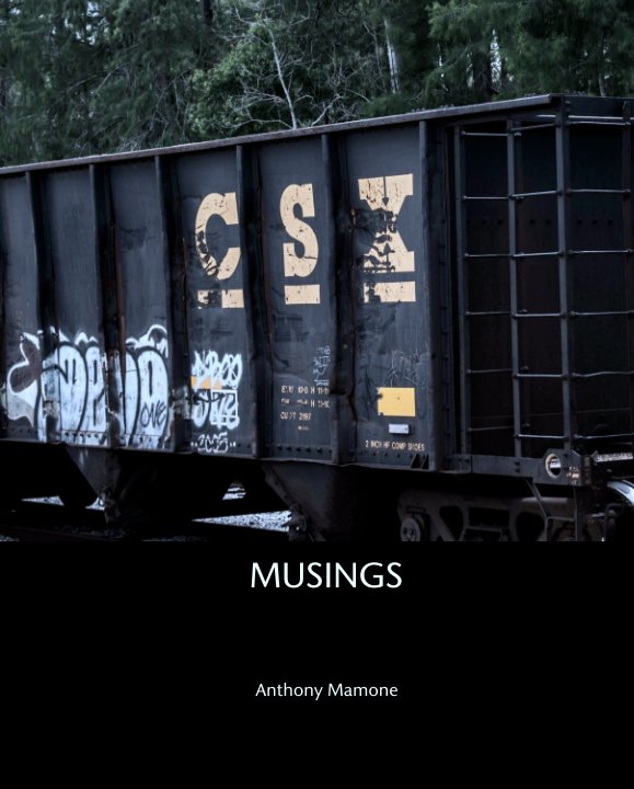 View MUSINGS by Anthony Mamone