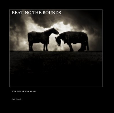 BEATING THE BOUNDS book cover
