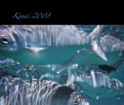 Kauai 2008 book cover