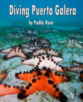 Diving Puerto Galera book cover
