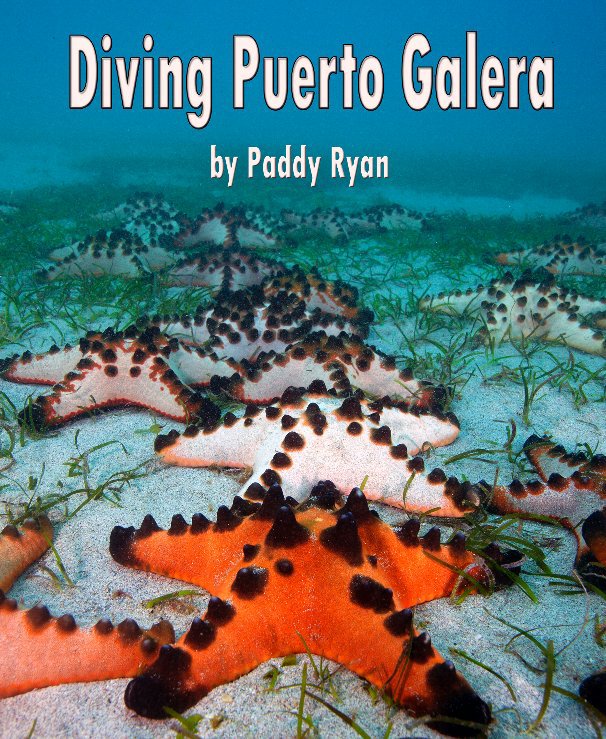 Ver Diving Puerto Galera por Paddy Ryan