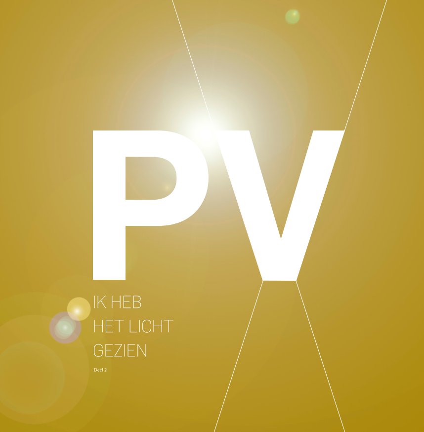 View Ik heb het licht gezien - deel 2 by Piet Vranckx