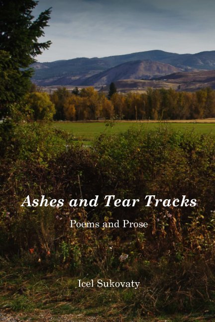 View Ashes and Tear Tracks by Icel Sukovaty