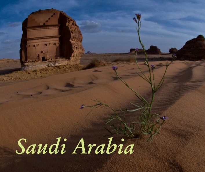 View Saudi Arabia by Charles Whan