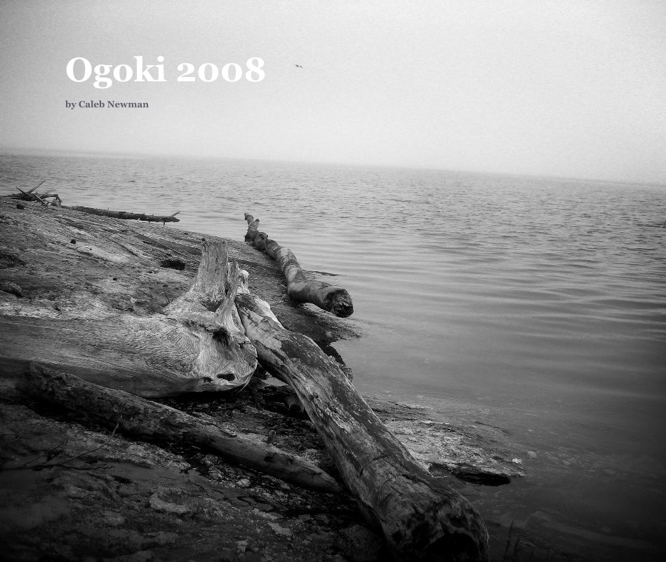 Visualizza Ogoki 2008 di Caleb Newman