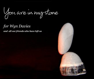 You are in my stone book cover