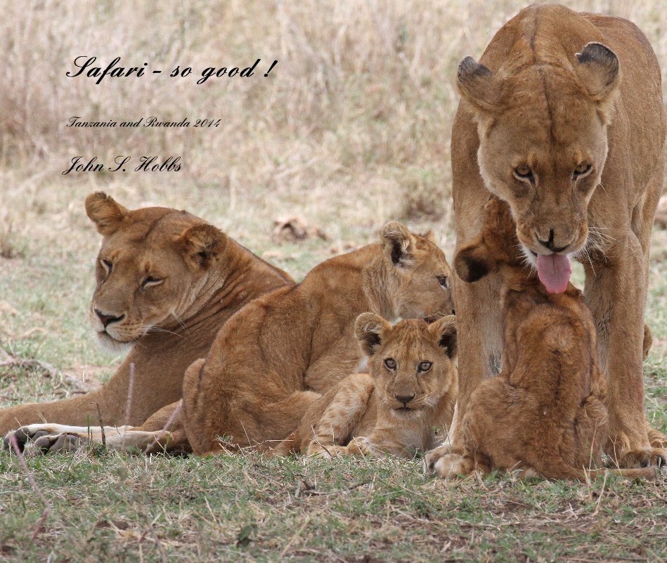 View Safari - so good ! by John S. Hobbs
