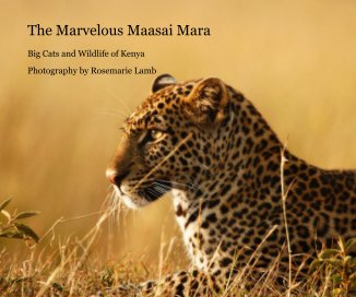 The Marvelous Maasai Mara book cover