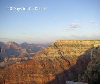 10 Days in the Desert book cover