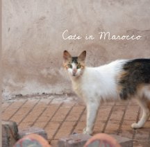 Cats in Marocco book cover