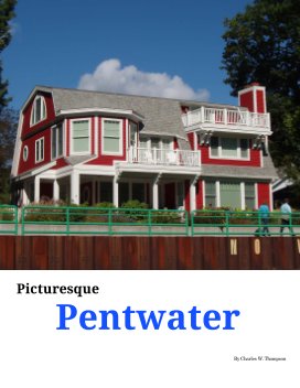 Picturesque Pentwater book cover