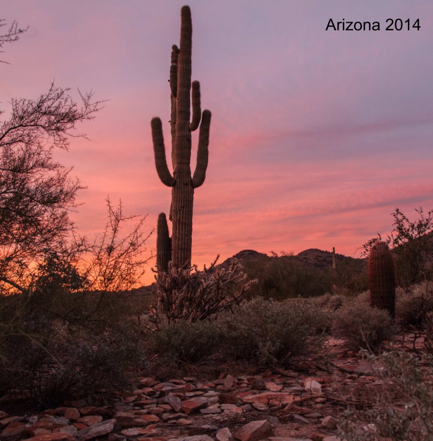 View Arizona by Edith Ross