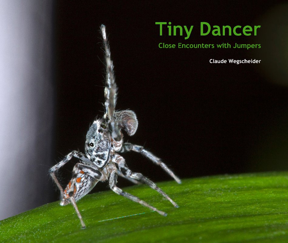 View Tiny Dancer by Claude Wegscheider