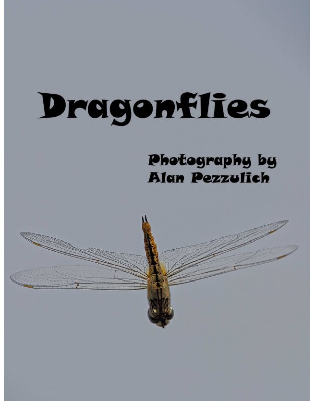 View Dragonflies by Alan Pezzulich