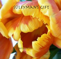 Suleyman's Gift book cover