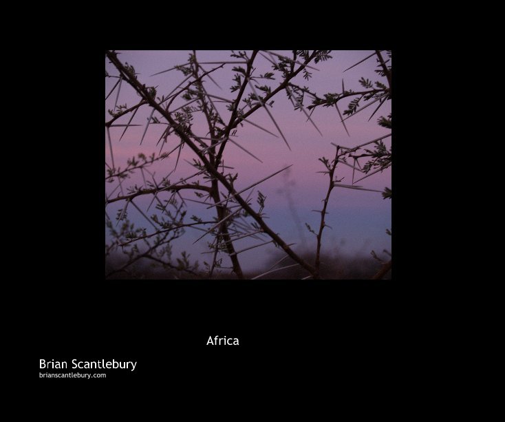 View \ Africa by Brian Scantlebury