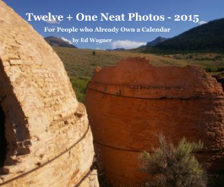 Twelve + One Neat Photos - 2015 book cover