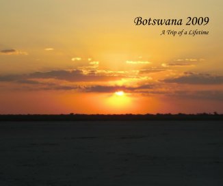 Botswana 2009 book cover