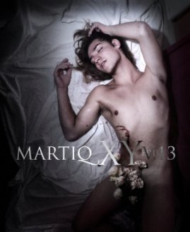 MARTIQ XY 1992-2013+ [V.13 DeLuxe Edition] book cover