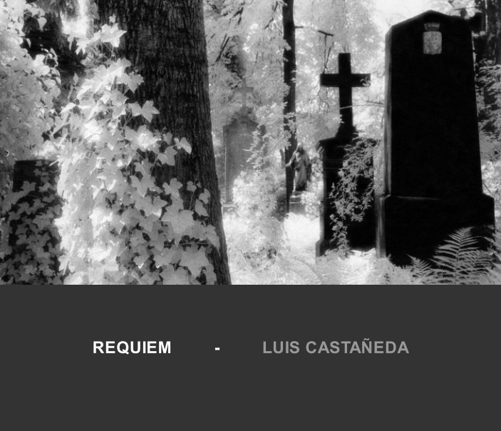 Visualizza REQUIEM di Luis Castañeda