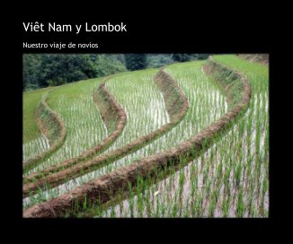 ViÃªt Nam y Lombok book cover