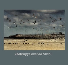 Zeebrugge kust de Kust ! book cover