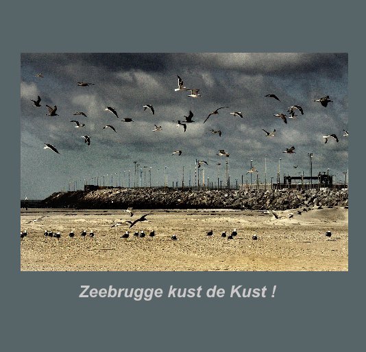 View Zeebrugge kust de Kust ! by Yvette Depaepe (Photoma)