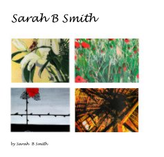 Sarah B Smith book cover
