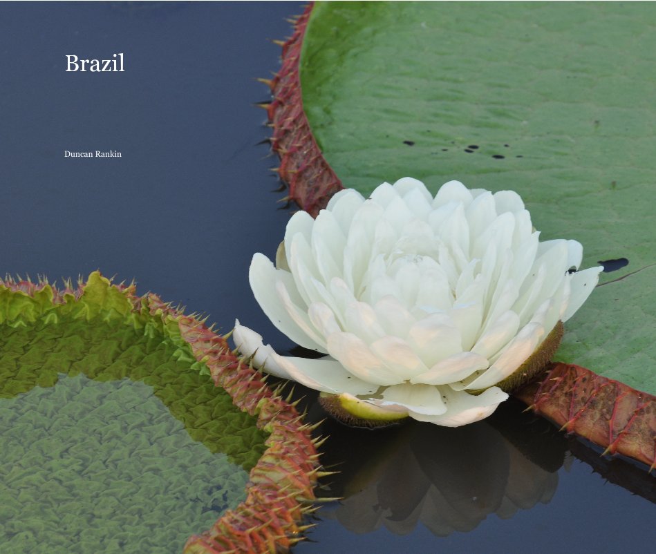 Visualizza Brazil di Duncan Rankin