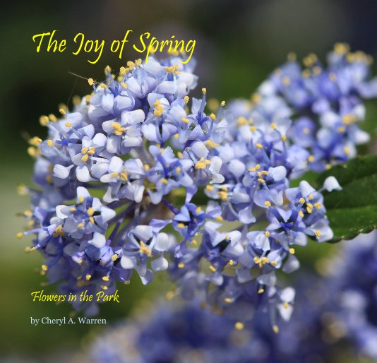 The Joy of Spring nach Cheryl A. Warren anzeigen