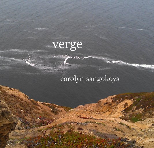 View verge by carolyn sangokoya