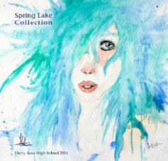 Spring Lake Collection 2014 book cover