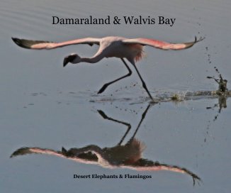 Damaraland & Walvis Bay book cover