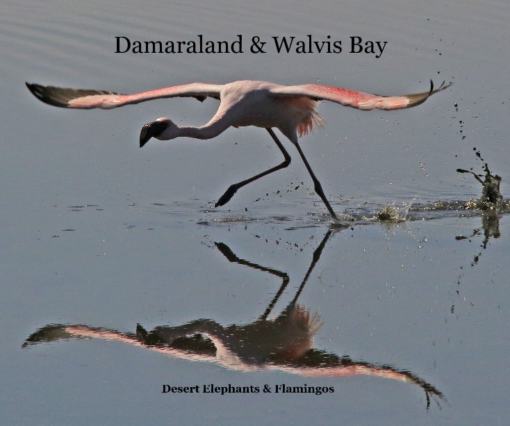 View Damaraland & Walvis Bay by Kevin & Nicola Noyce