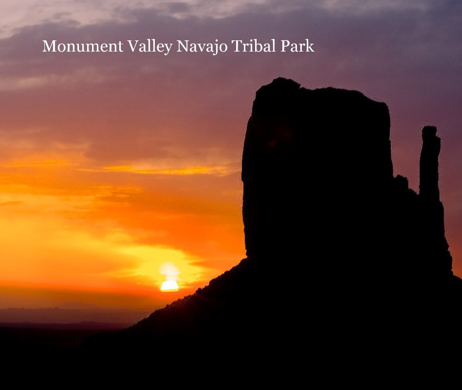 Visualizza Monument Valley Navajo Tribal Park di Frank W. Comisar
