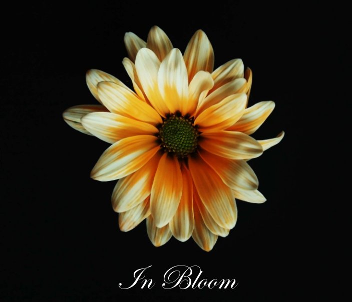 Ver In Bloom por Harley Wilson