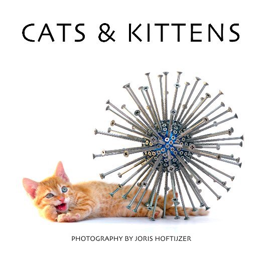 View Cats & Kittens by JORIS HOFTIJZER