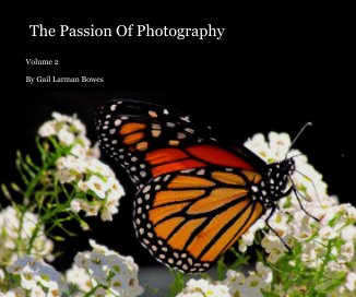 The Passion Of Photography book cover