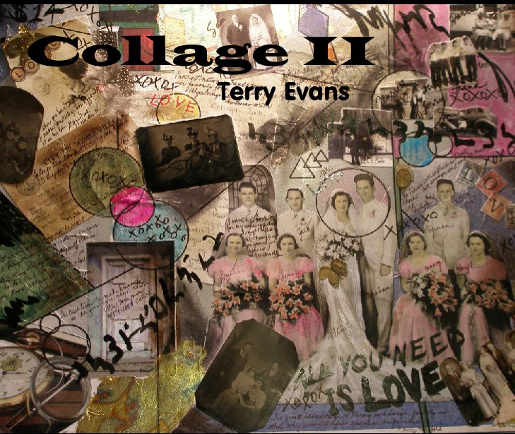 View Collage II by terry evans