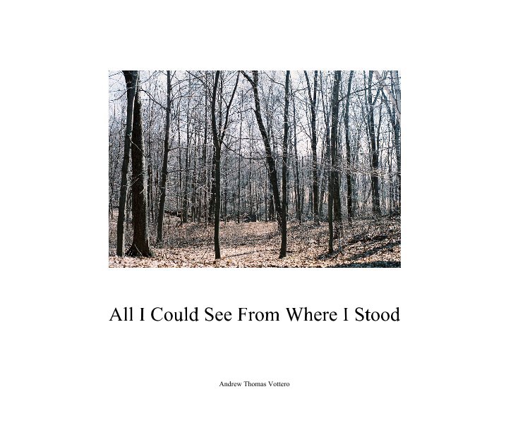 Ver All I Could See From Where I Stood por Andrew Thomas Vottero