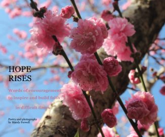 HOPE RISES  Poetry and photography by Mandy Forwell book cover